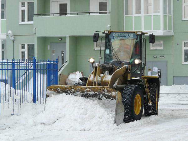 Оренбург припорошило снегом